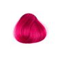 Directions Flamingo Pink Hair Dye (Personal Care)