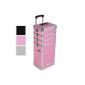 Cosmetic bag and trolley hairdressing - 78 x 34 x 24.5 to 30 (HxWxD) - trolley - 3 removable compartments - combination lock - VARIOUS COLORS (Health and Beauty)