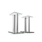 BS28 couple high-end boxes Speaker Stand Tripod glass / aluminum design with vibration-absorbing spikes (max. 10kg) (Electronics)
