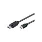 Wentronic DisplayPort cable (20 pin Male to HDMI Male) 1 m (accessories)