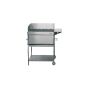 Premio stainless steel grill precious design charcoal grill mobile with front panel (household goods)