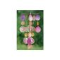 Capiz wind chime pearl earrings violet colored approx H50cm No. 7155600