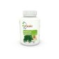 Vihado Moringa oleifera - Intensive Plus, Pure natural extract premium, 120 capsules, 1er Pack (1 x 59 g)