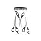 Lifetime Together Hair Cutting Scissors 2 + 1 + 1 stainless steel blades Désépaississeur Comb (Health and Beauty)