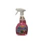 Surface Disinfectant Saniterpen Ready-Spray 750ml (Miscellaneous)