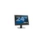 Excellent monitor 24 "has reasonable price