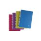 Clairefontaine 329506C SpiralBook, A5 Linicolor Intense, checkered, 90 sheets, sorted, 5 piece (Office supplies & stationery)