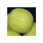 Cucumber - Cucumber Lemon - 15 seeds (garden products)