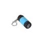 EasyAcc® Mini LED Flashlight 25 different colors Keyring Torch with built Lithium Polymer Battery and USB recharging (color: Blue) (Electronics)