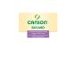 Canson - Fine Arts - Blotter Paper Canson - Pouch - 125g / m² 16x21 12 sheets (Office Supplies)