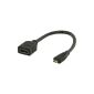 Valueline VGVP34790B02 High Speed ​​HDMI Cable with Ethernet (micro connector on input, 0.2m) black (accessories)