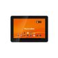 TechniSat TechniPad 8 20.3 cm (8 inch) tablet PC (Cortex A9 dual-core, 1.6GHz, 1GB RAM, 16GB HDD, Android 4.1) Black (Personal Computers)