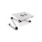 Lavolta Notebook Laptop stand Table cooler with Mouse - 2 fans - Aluminium - Fold levels - Silver (Electronics)