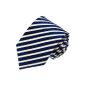 LORENZO CANA - brands Tie 100% silk - Blue Dark Blue Navy White Stripes Design - 84337 (Textiles)