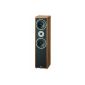 Magnat monitor Supreme 800 2.5-way floorstanding speaker pair, bass reflex 92 dB nut (electronics)