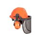 Forsthelm 658-0-500-I Helmet 397 with noise protection EN 352, EN 1731 and visor (Tools & Accessories)