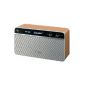 Great DAB + capable radio with super reception