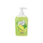 Duschdas lime mint kisses liquid soap dispenser, 300 ml (Personal Care)