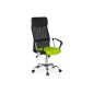 HJH Office 685 338 office chair, executive chair Orion Net mesh, green / black / chrome (household goods)