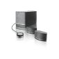Bose ® Companion ® 5 Multimedia Speaker System Silver (accessory)