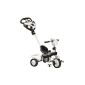 Smart-Trike - 1573400 static bicycles and vehicles for Children - Tricycle -Recliner Zoo - 3 in 1 Cow (Toy)