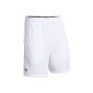 Under Armour Mens UA Tech pants shorts 7 (Sports Apparel)