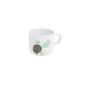 Translucent LDISHC190 cup / Dish Cup melamine Wildlife - Turtle (Baby Product)