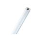 OSRAM fluorescent lamp Lumilux 18W L.59cm Pipe D.26mm Energy A cool white light color 840 (household goods)