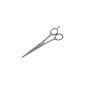 Hair Scissors 5 1/2 Special steel micro-serrated BADGER Germany (Health and Beauty)