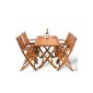 Table and garden furniture wood chairs outside Sydney Furniture Folding Chairs Set 1xTable and 4x Foldable