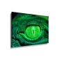 Images Art Prints / Boikal / image with stretcher reptiles eye 100x70 cm xxl.444
