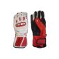 Leki Worldcup Racing GS S size 10.5 Trigger S Ski Gloves (Sports Apparel)