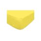 Sun Tan 610824 So Fitted Sheet Cotton Yellow 200 x 90 cm (Housewares)