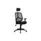 Amstyle SPM1.206 Florence 2 executive chair fabric mesh, black (household goods)