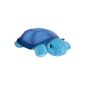 CloudB Blue Twilight Turtle (Baby Product)