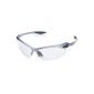Alpina goggles