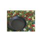 Skeppshult frying pan 24cm cast iron with wooden handle - 0240T (household goods)