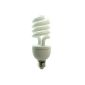DynaSun SYD26W Bulb 150W Daylight Fluorescent (Accessory)