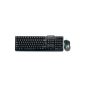 MS-Tech LT-119 USB keyboard and mouse German (Accessories)