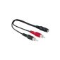 Hama Audio Adapter (2x RCA to 3.5 mm jack coupling