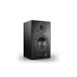 Nupro A-200 perfect PC speakers!