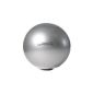 Original Pezzi exercise ball Standard Special Edition (Misc.)