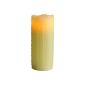 Best Season LED light candle with real wax, flickering 066-26 (household goods)