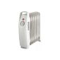 Domair EU1MN506 radiator Bain mini gray oil 500 W (Tools & Accessories)