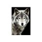 Startonight, nachtleuchtendes canvas picture, white wolf, completely framed 90 cm x 60 cm