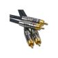 DCSK stereo RCA audio cable NF Audio MK II - OFC - 3-way shielded - 10m (Electronics)