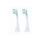 Panasonic replacement brush EW0923, 2 pieces, universally suitable for all Panasonic sonic toothbrushes (Personal Care)