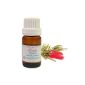 EOBBD Essential Oil 10ML of NIAOULI (Melaleuca viridiflora quinquenervia) (Kitchen)