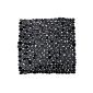 Wenko 20275100 Paradise Carpet Shower Black 54 x 54 cm (Kitchen)
