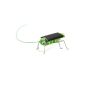 Solar Powered Grasshopper Grasshopper Grasshopper Grasshopper toy animals (toy)